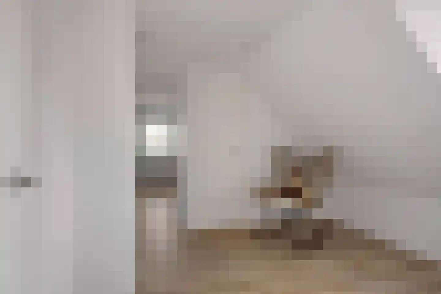 Damianenweg 4 Sint-Oedenrode thumbnail 38