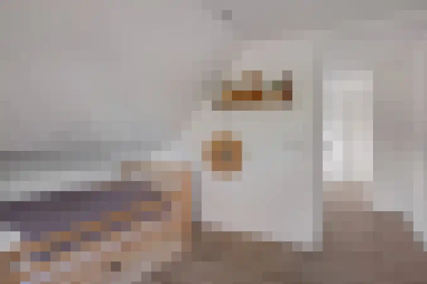 Damianenweg 4 Sint-Oedenrode thumbnail 42
