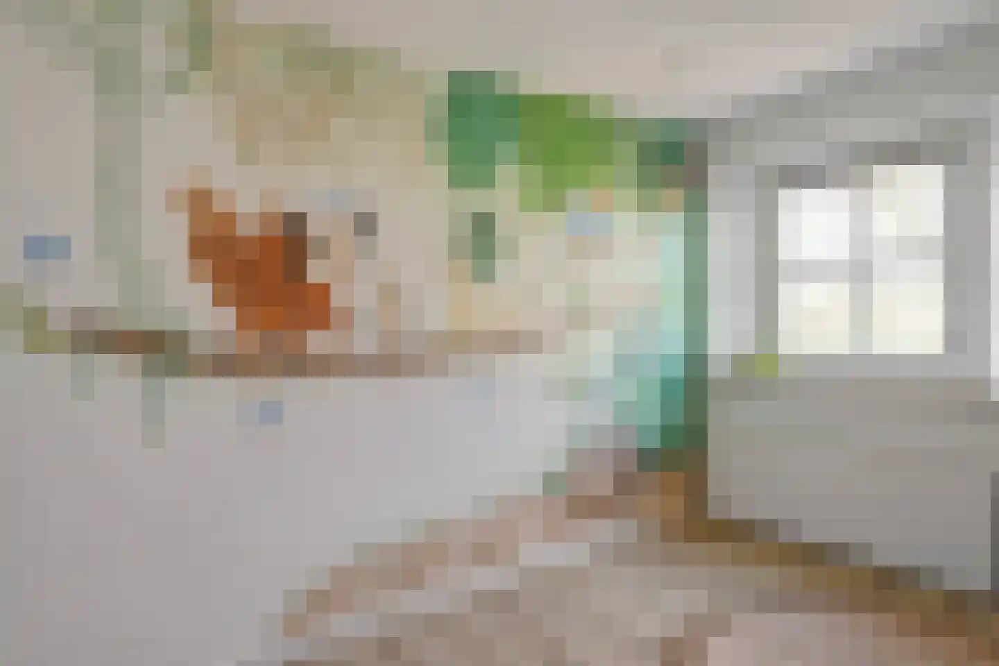 Damianenweg 4 Sint-Oedenrode thumbnail 43
