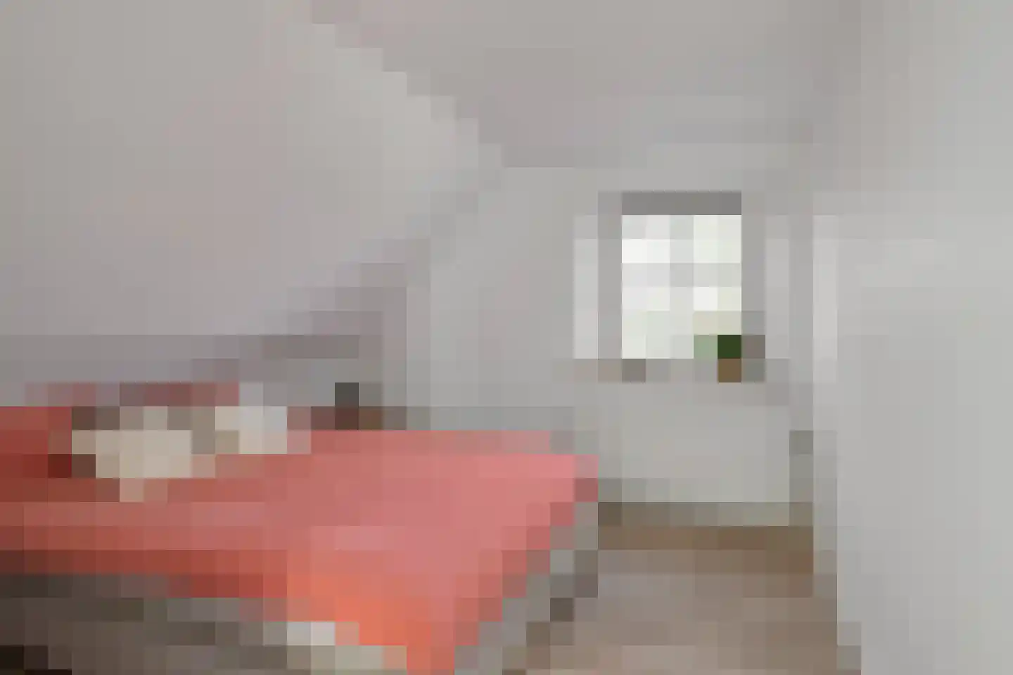 Damianenweg 4 Sint-Oedenrode thumbnail 46