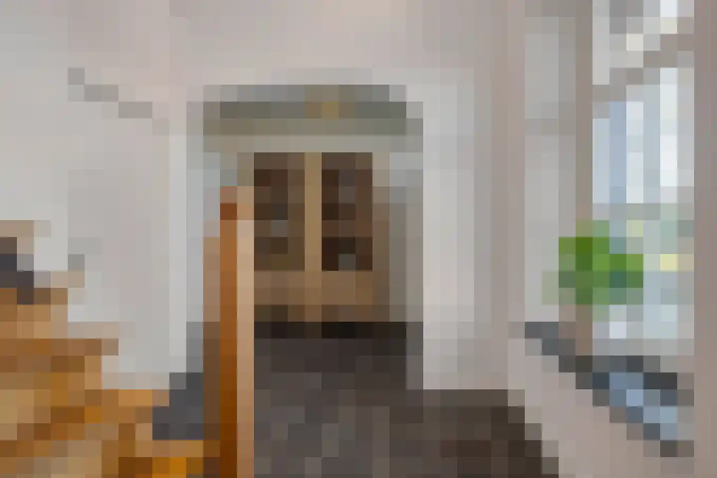Damianenweg 4 Sint-Oedenrode thumbnail 5