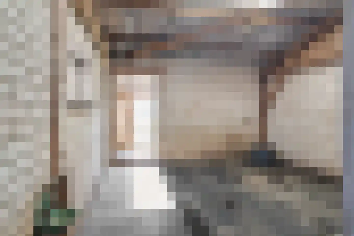 Damianenweg 4 Sint-Oedenrode thumbnail 63