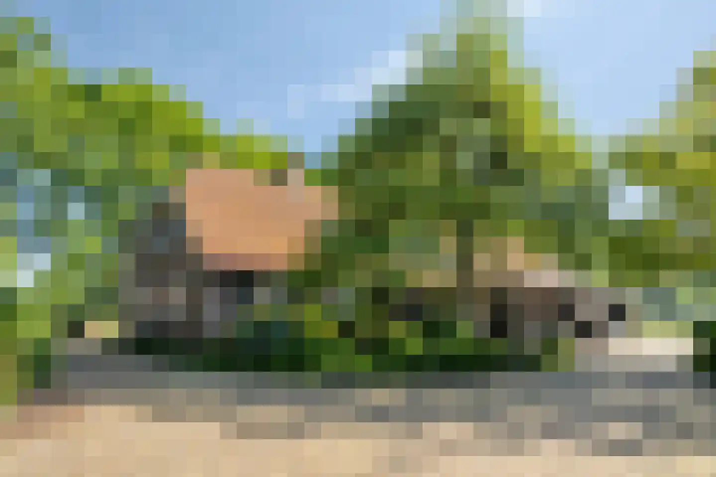 Damianenweg 4 Sint-Oedenrode thumbnail 63