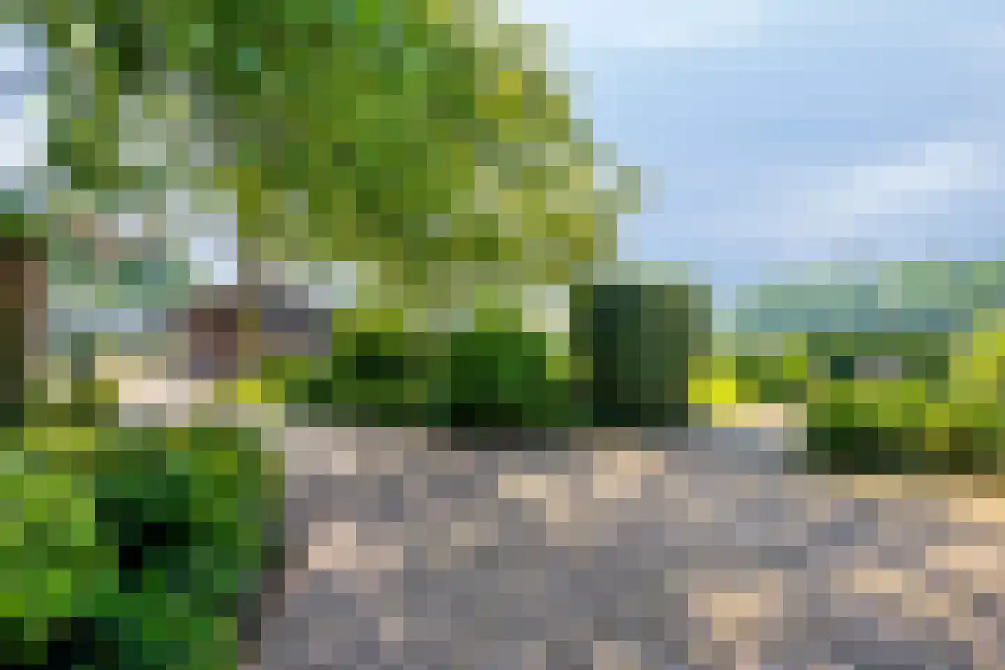 Damianenweg 4 Sint-Oedenrode thumbnail 64