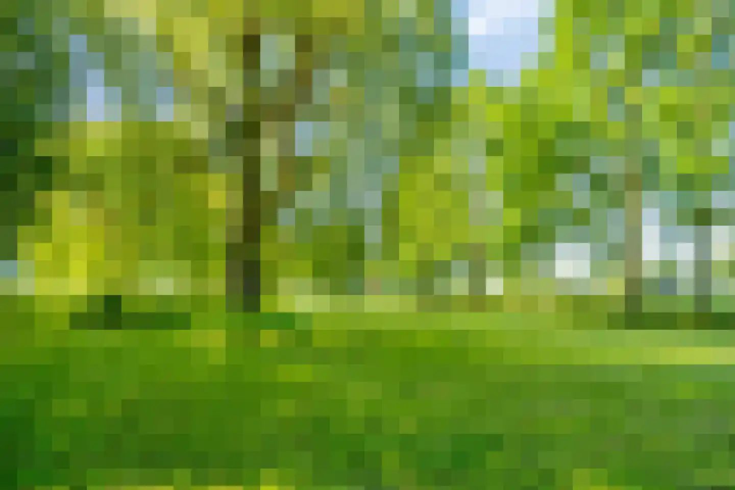 Damianenweg 4 Sint-Oedenrode thumbnail 65