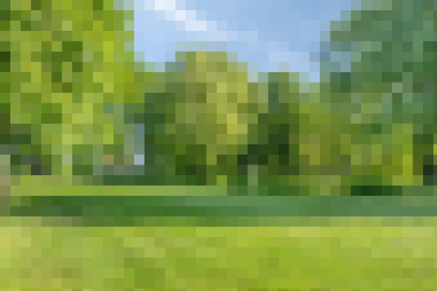 Damianenweg 4 Sint-Oedenrode thumbnail 66