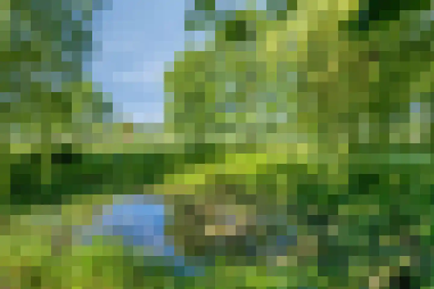 Damianenweg 4 Sint-Oedenrode thumbnail 67