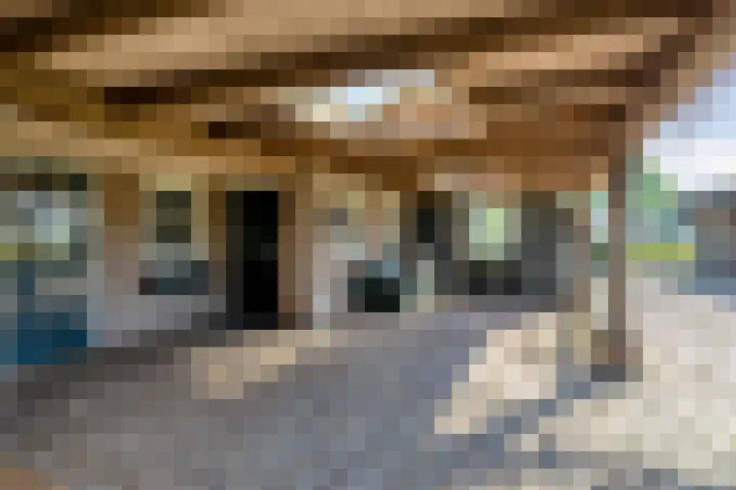Damianenweg 4 Sint-Oedenrode thumbnail 70