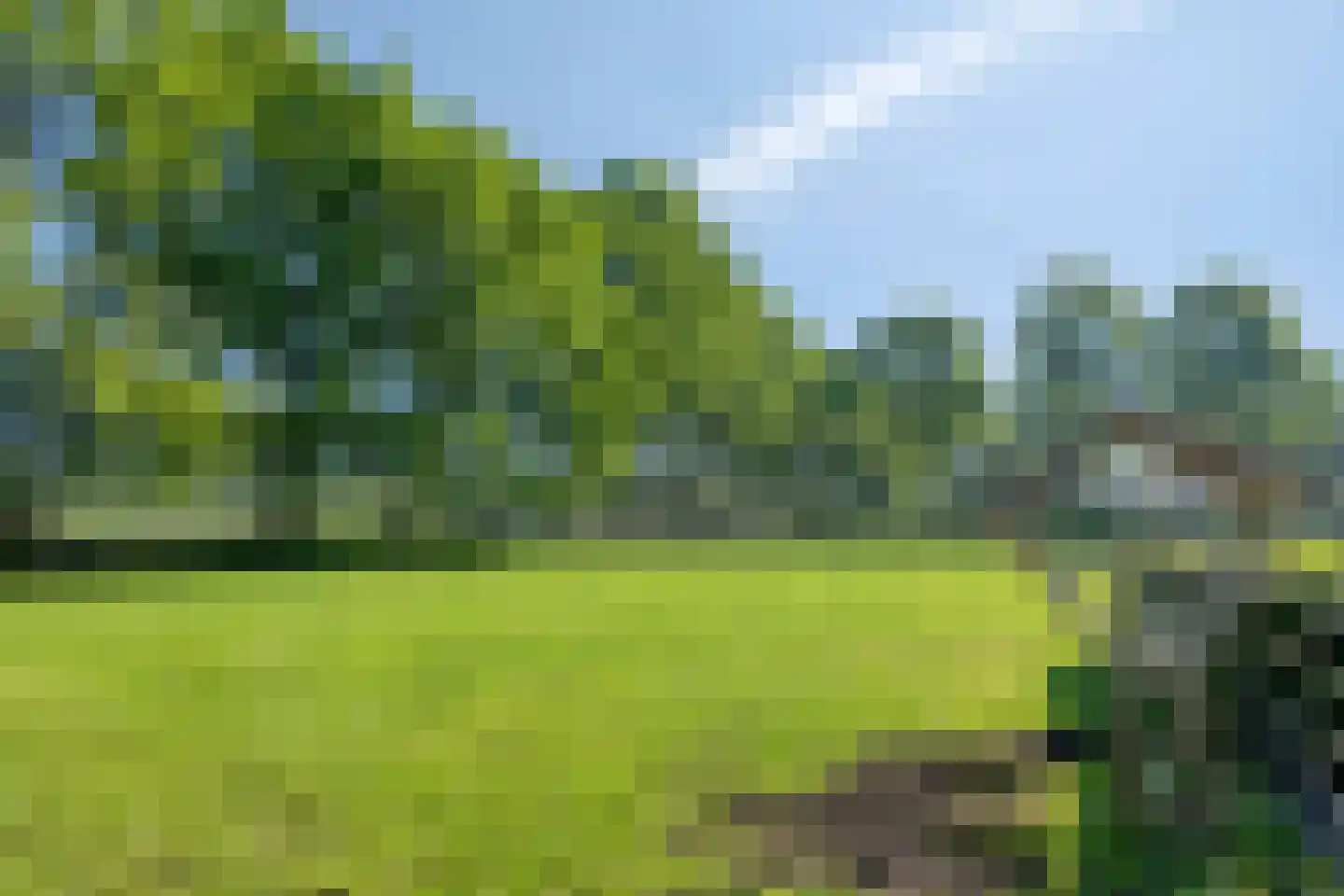 Damianenweg 4 Sint-Oedenrode thumbnail 74