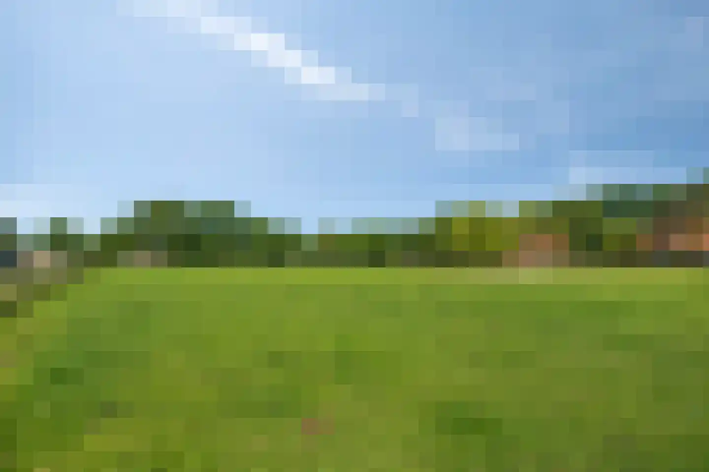 Damianenweg 4 Sint-Oedenrode thumbnail 77