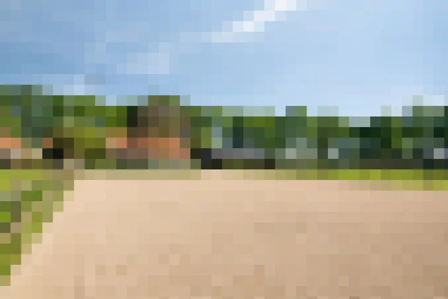 Damianenweg 4 Sint-Oedenrode thumbnail 78