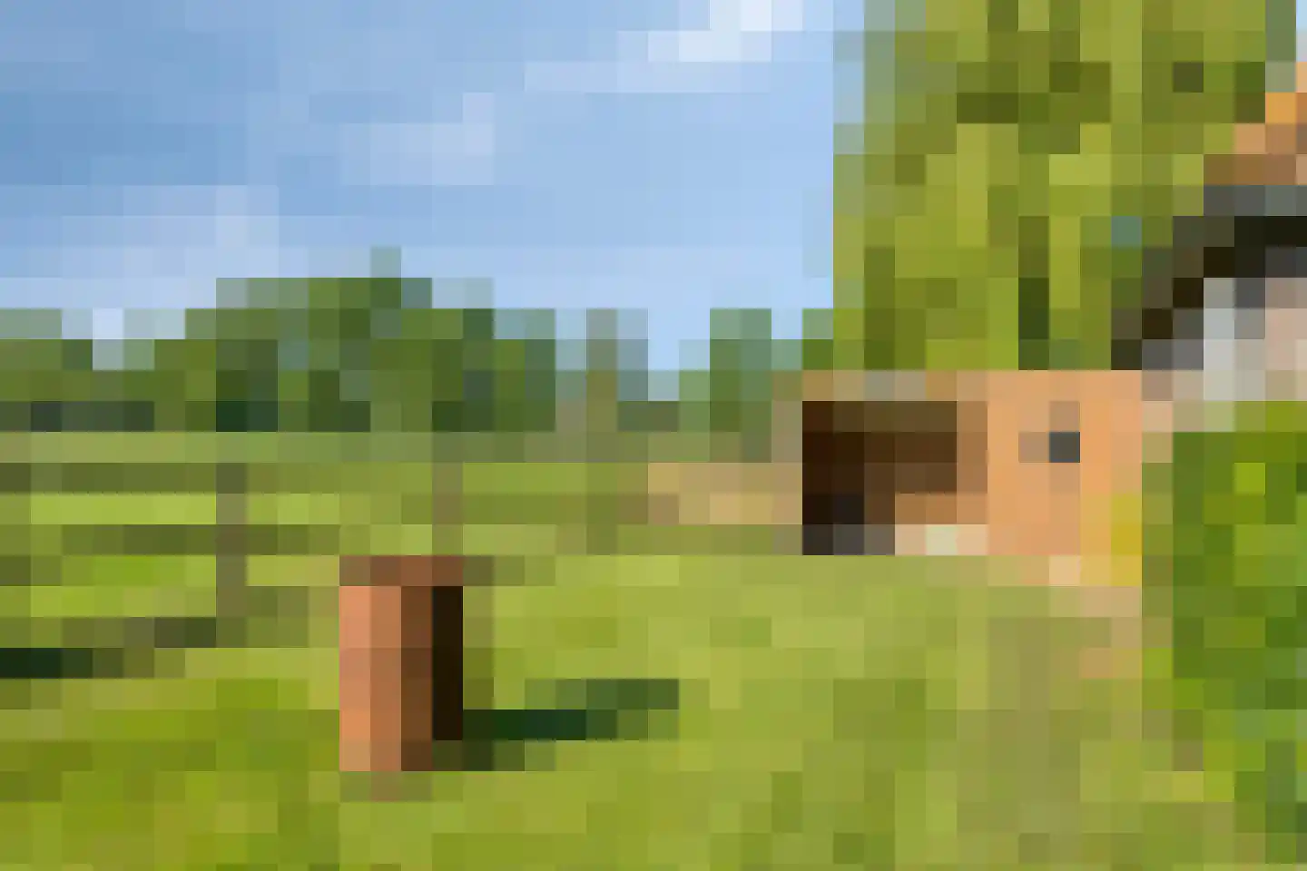 Damianenweg 4 Sint-Oedenrode thumbnail 80