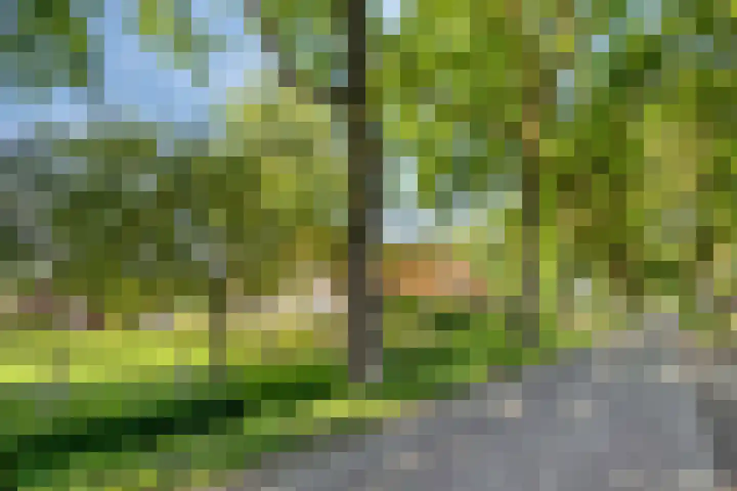 Damianenweg 4 Sint-Oedenrode thumbnail 81