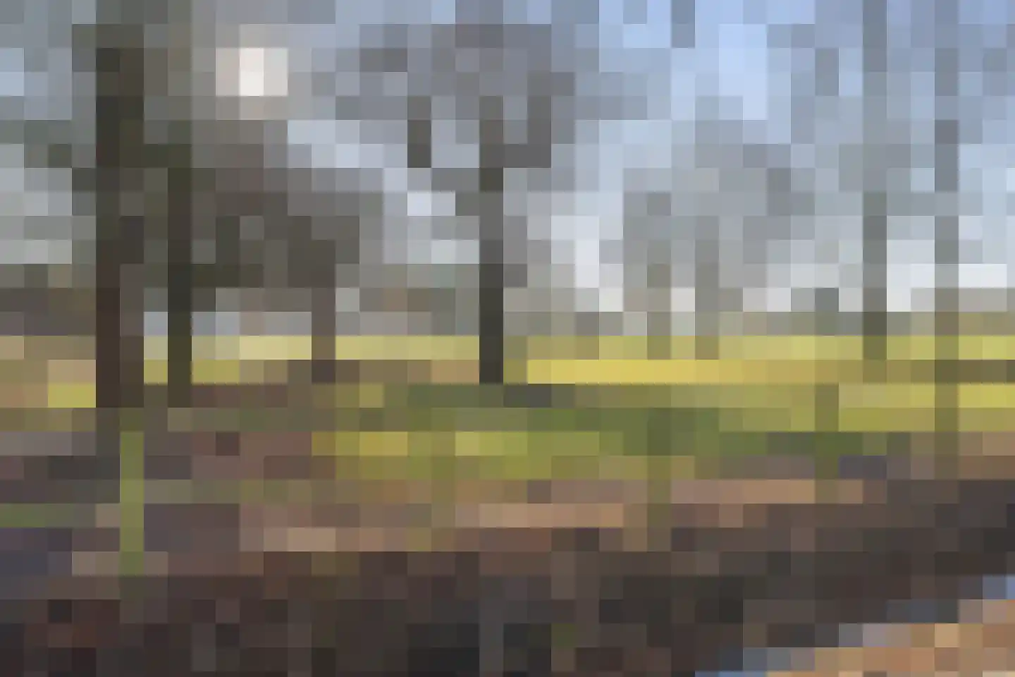 Damianenweg 4 Sint-Oedenrode thumbnail 82
