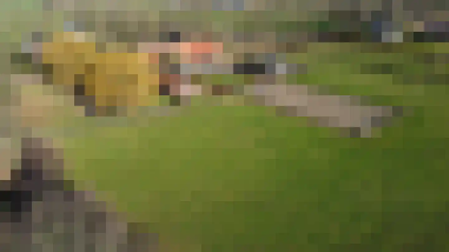Damianenweg 4 Sint-Oedenrode thumbnail 84