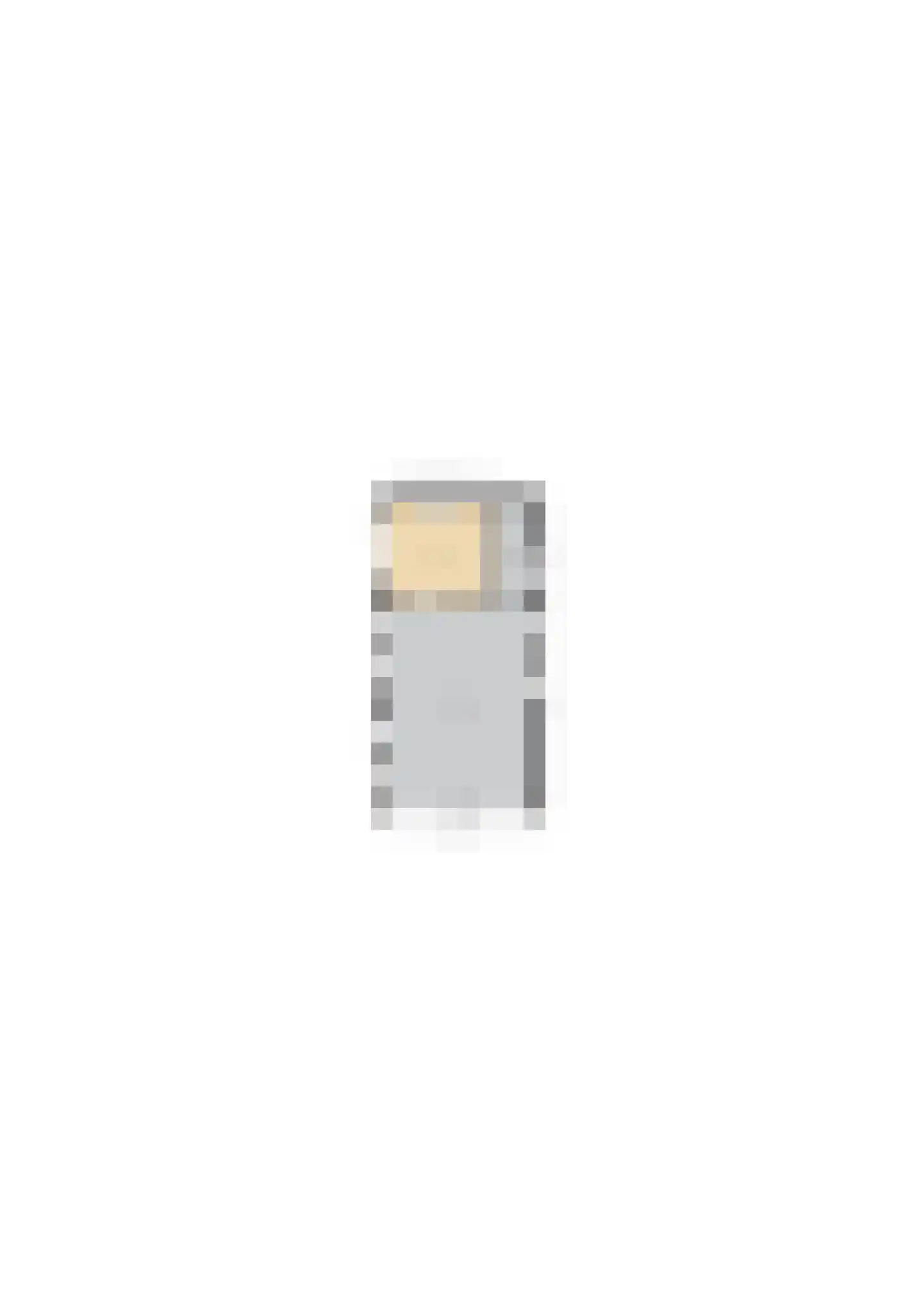 Damianenweg 4 Sint-Oedenrode thumbnail 89