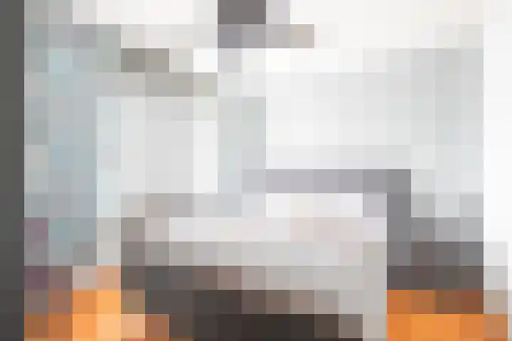 Damiatestraat 68 Stein thumbnail 11