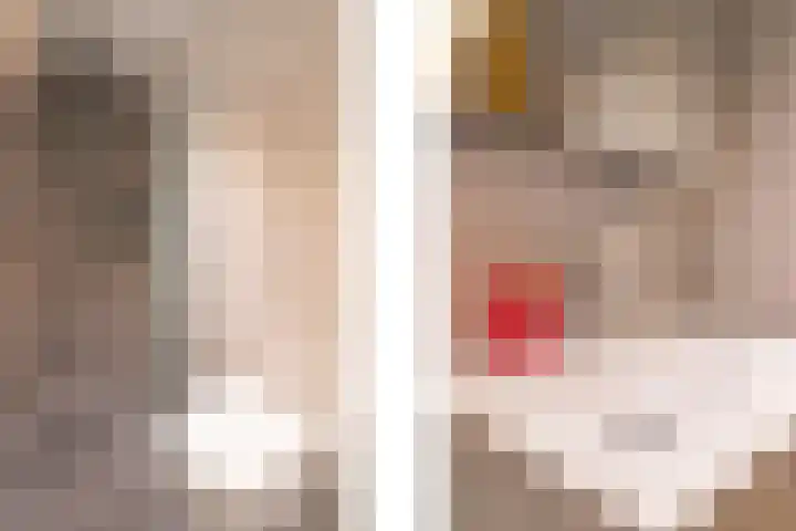 Damiatestraat 68 Stein thumbnail 15