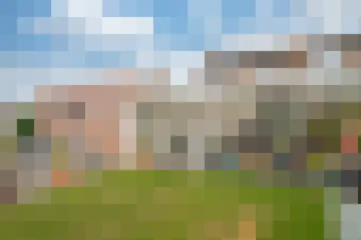 Damiatestraat 68 Stein thumbnail 17