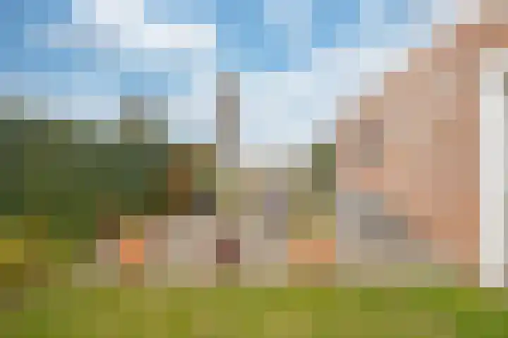 Damiatestraat 68 Stein thumbnail 19