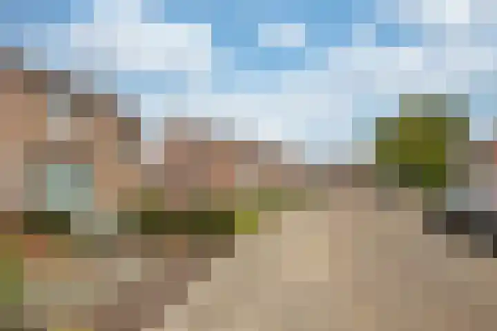 Damiatestraat 68 Stein thumbnail 22