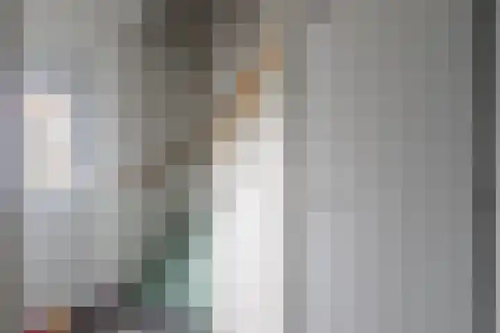 Damiatestraat 68 Stein thumbnail 4