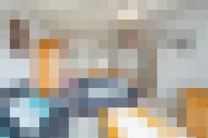 Damiatestraat 68 Stein thumbnail 5