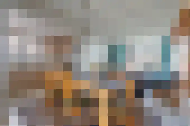 Damiatestraat 68 Stein thumbnail 6