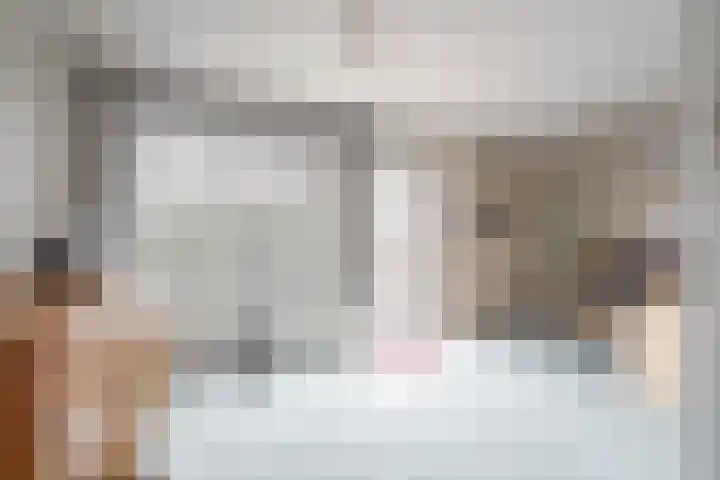 Damiatestraat 68 Stein thumbnail 8