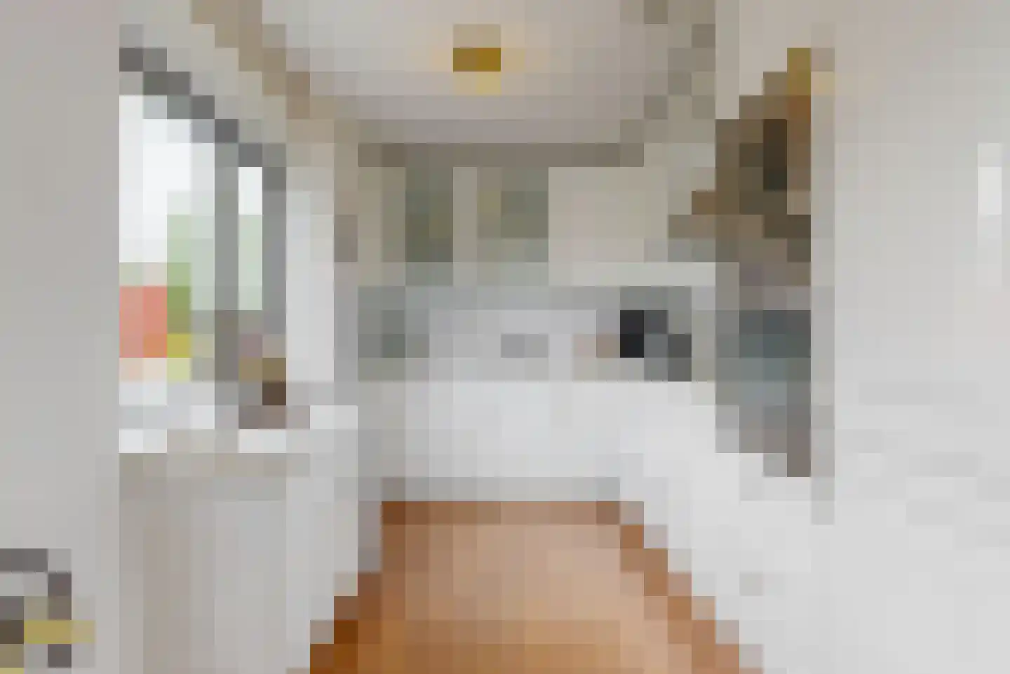 Damiettastraat 40 Purmerend thumbnail 13