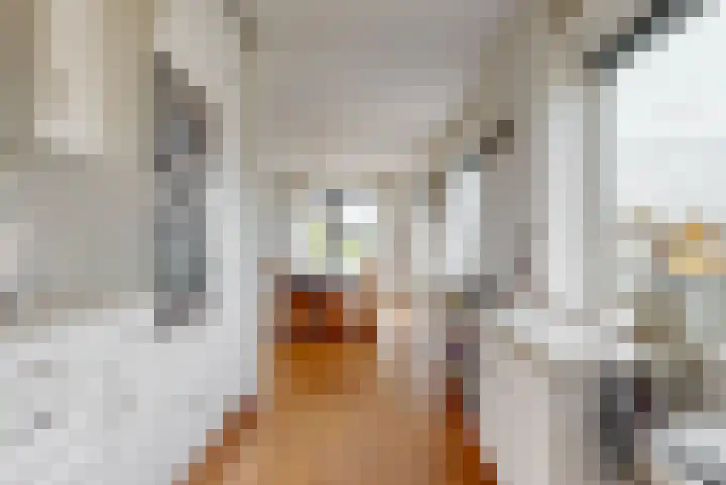 Damiettastraat 40 Purmerend thumbnail 15