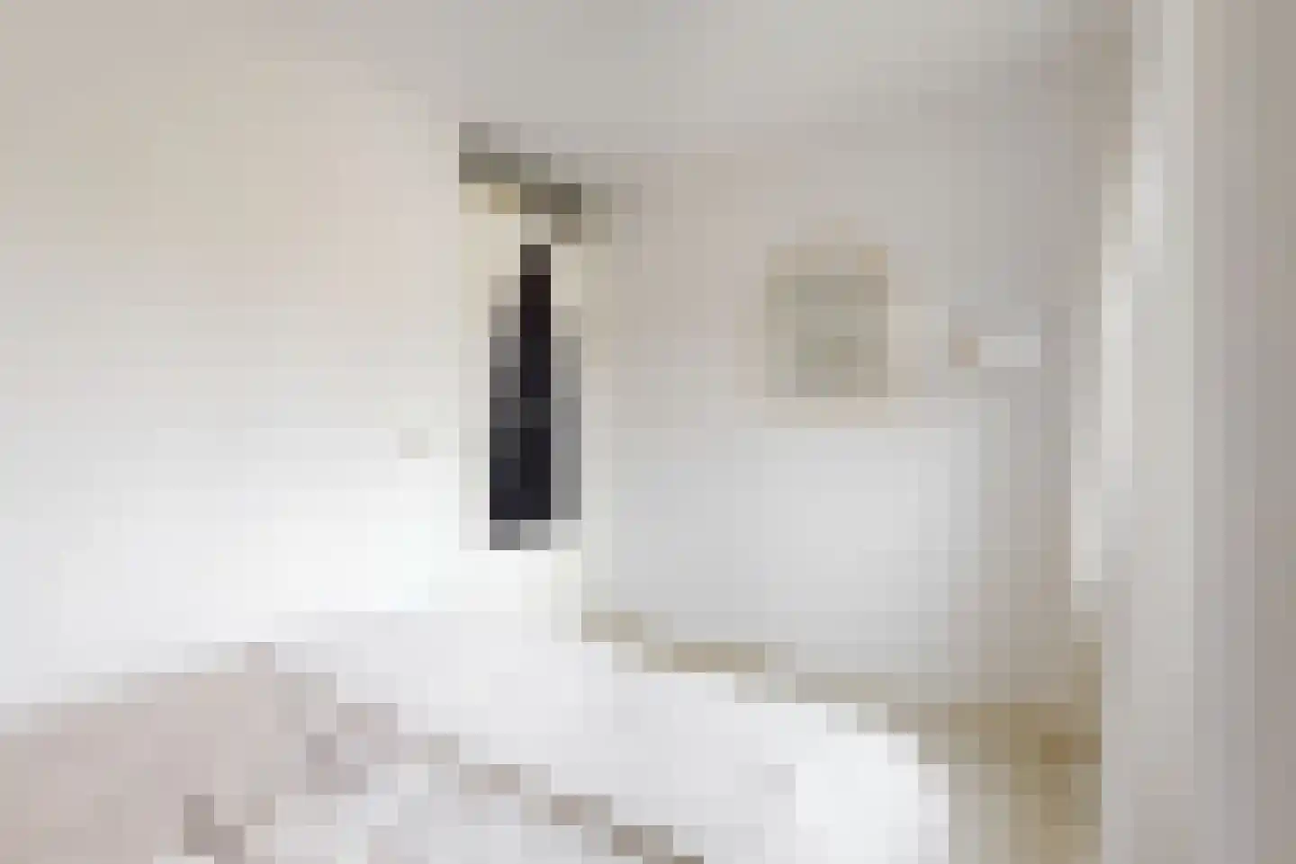 Damiettastraat 40 Purmerend thumbnail 18