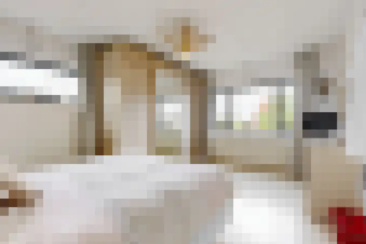 Damiettastraat 40 Purmerend thumbnail 22