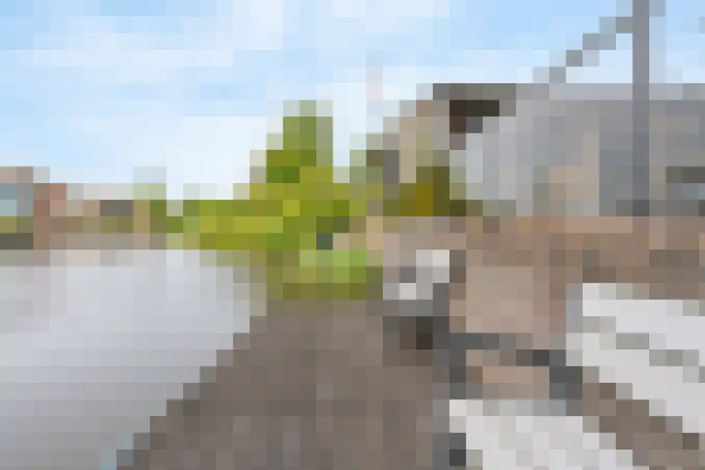 Damiettastraat 40 Purmerend thumbnail 41