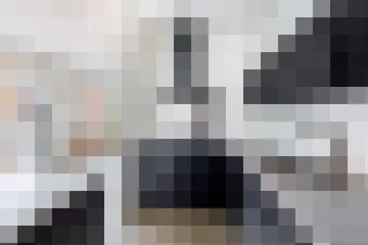 Damlaan 1 E Leidschendam thumbnail 13
