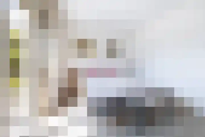 Damlaan 1 E Leidschendam thumbnail 14