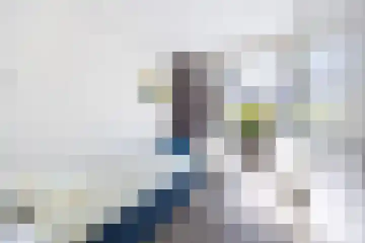 Damlaan 1 E Leidschendam thumbnail 5