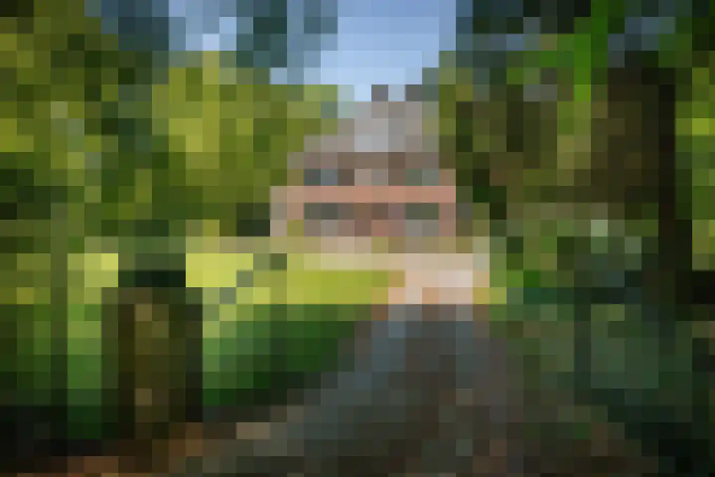 Damlaan 12 in Eefde