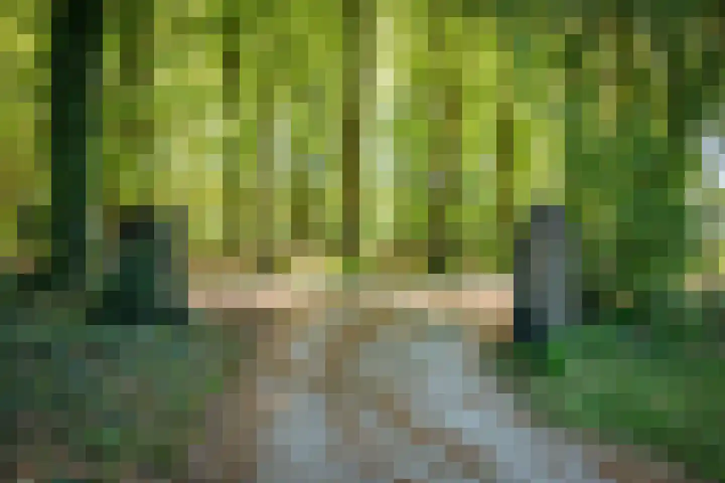 Damlaan 12 Eefde thumbnail 11
