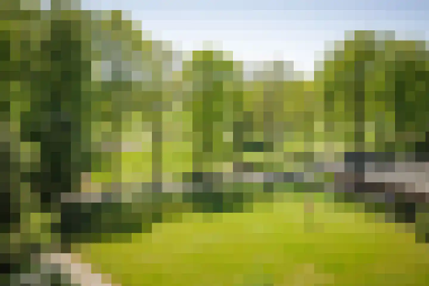 Damlaan 12 Eefde thumbnail 12