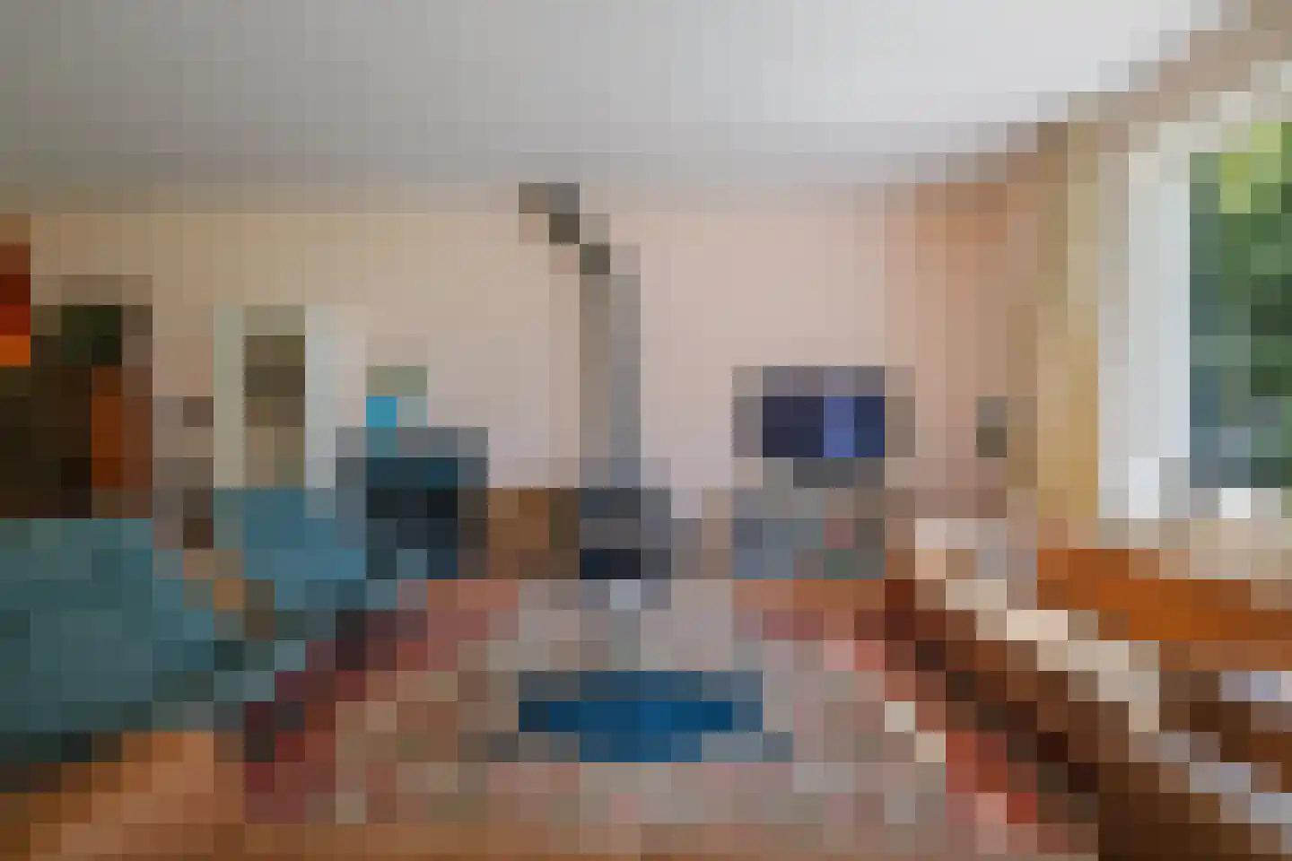 Damlaan 12 Eefde thumbnail 16
