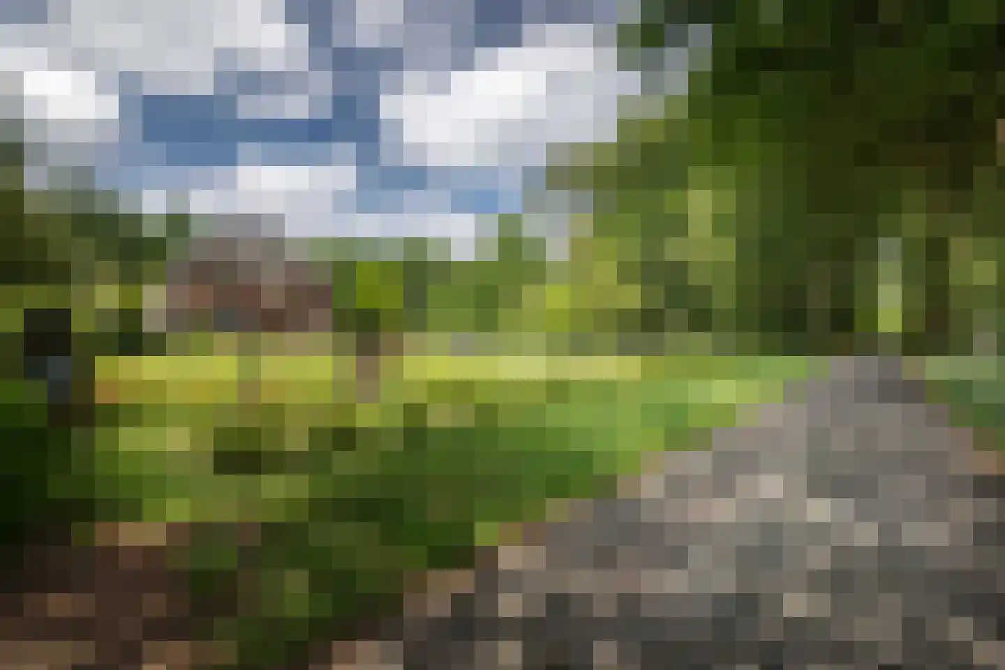 Damlaan 12 Eefde foto 2