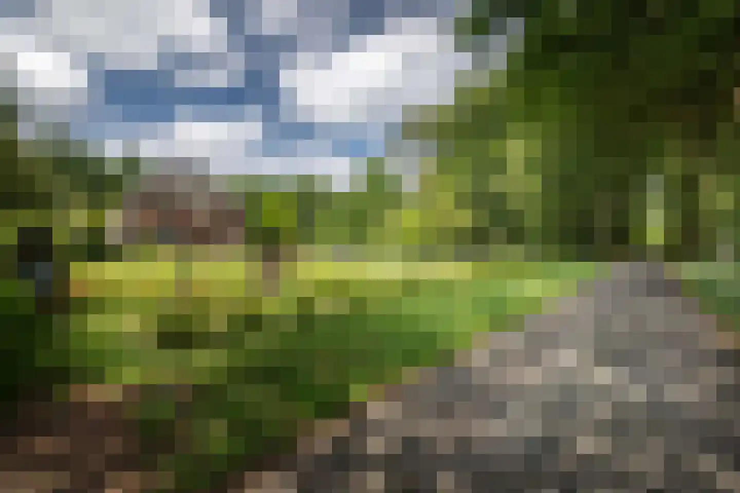 Damlaan 12 Eefde foto 2