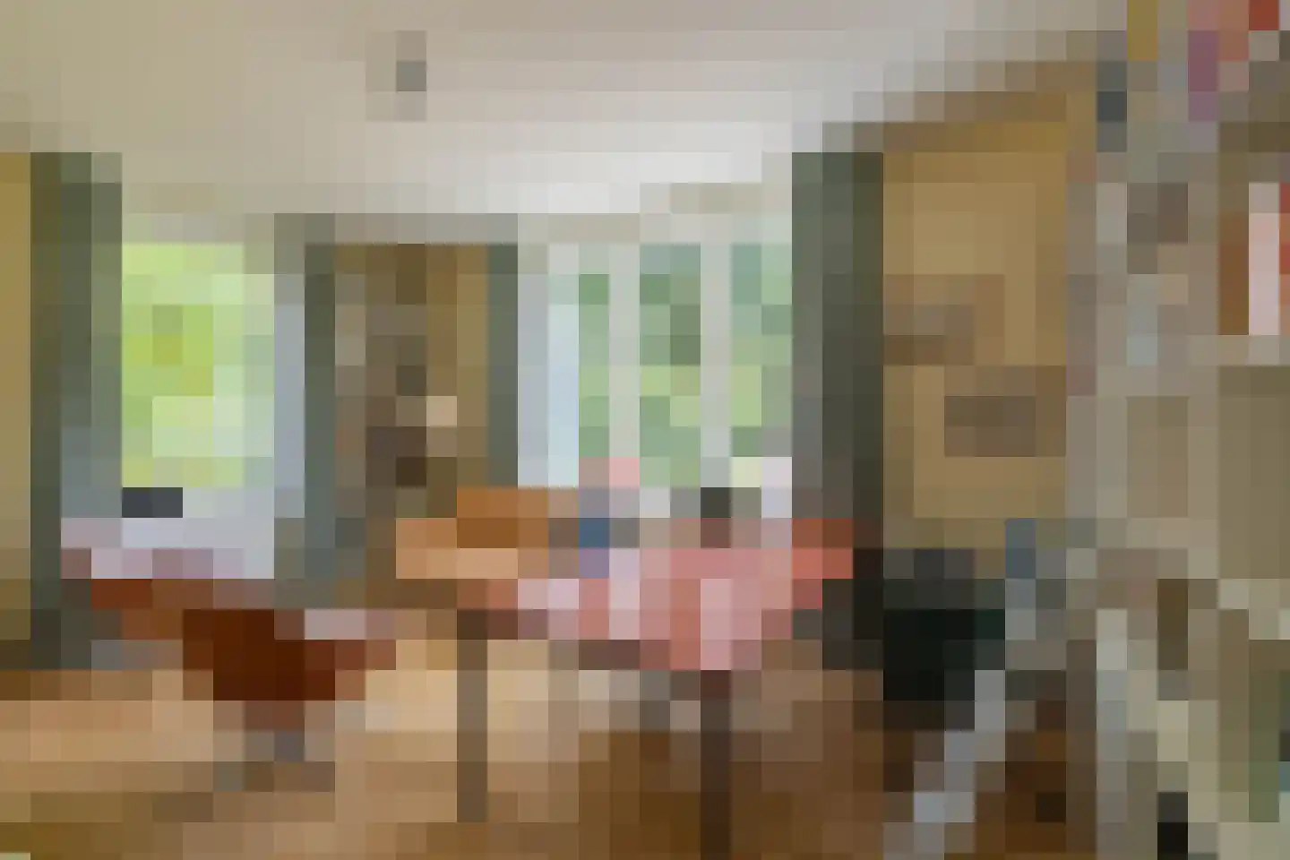Damlaan 12 Eefde thumbnail 30