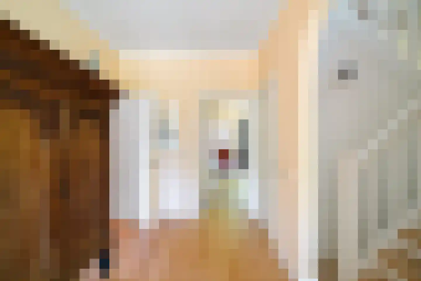 Damlaan 12 Eefde thumbnail 37