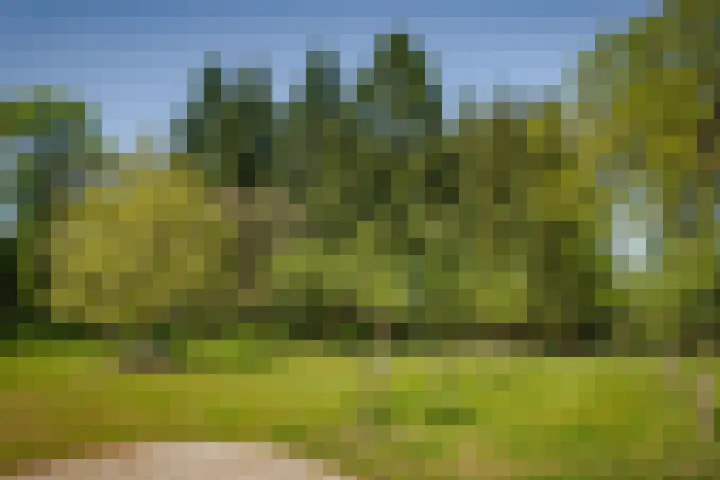 Damlaan 12 Eefde thumbnail 4