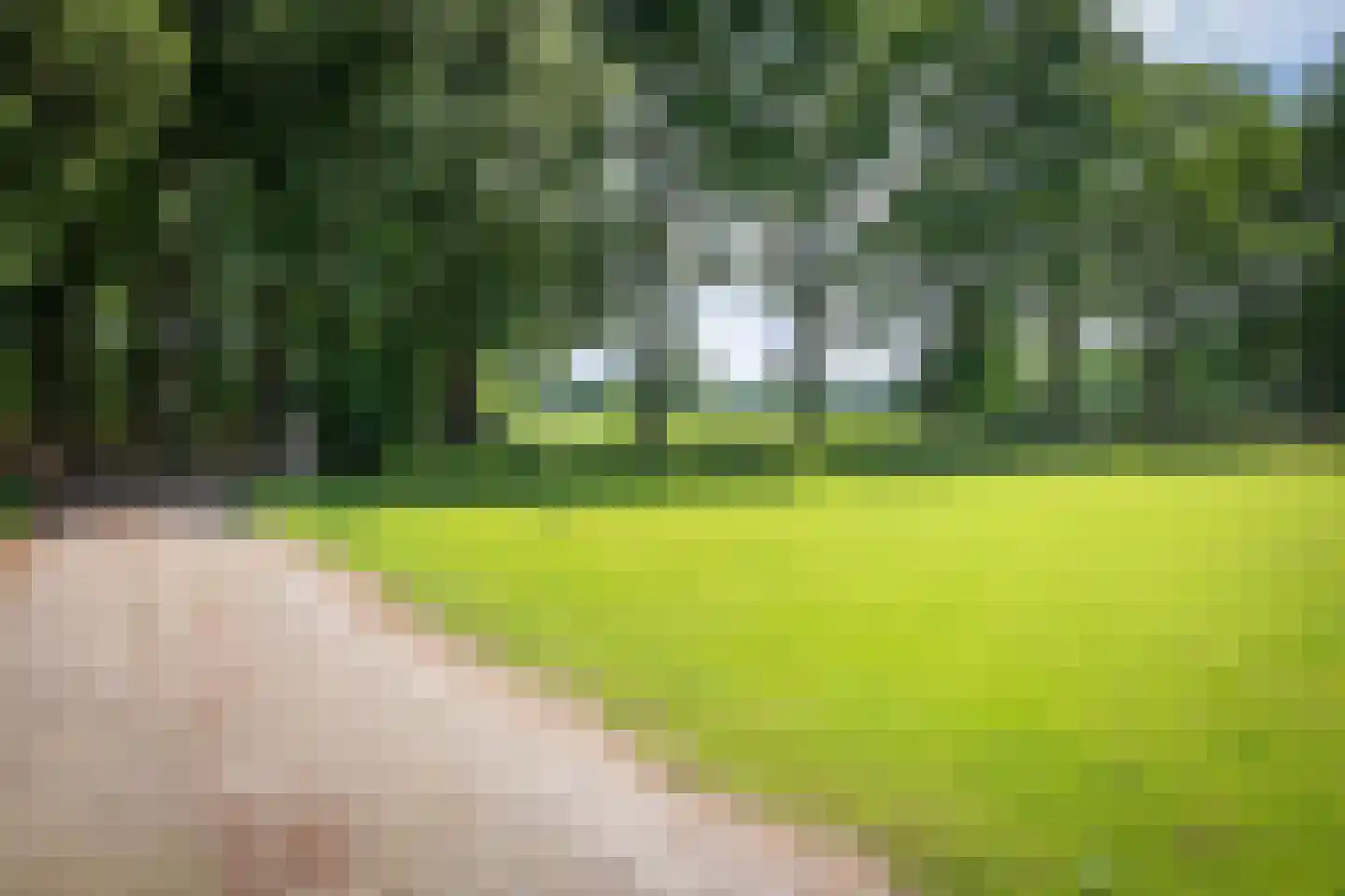 Damlaan 12 Eefde thumbnail 6