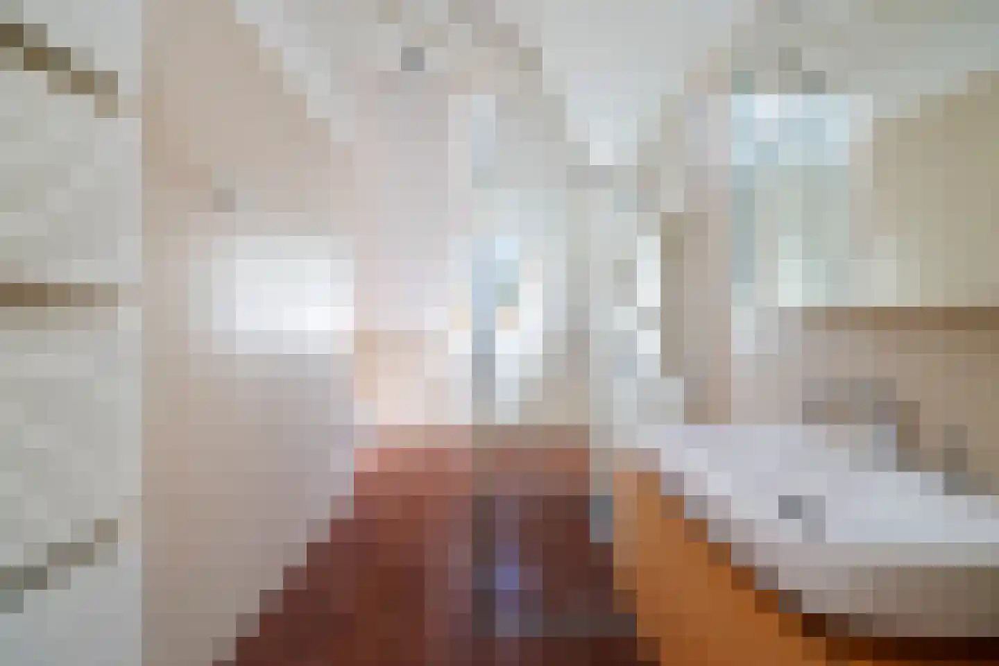 Damlaan 12 Eefde thumbnail 63