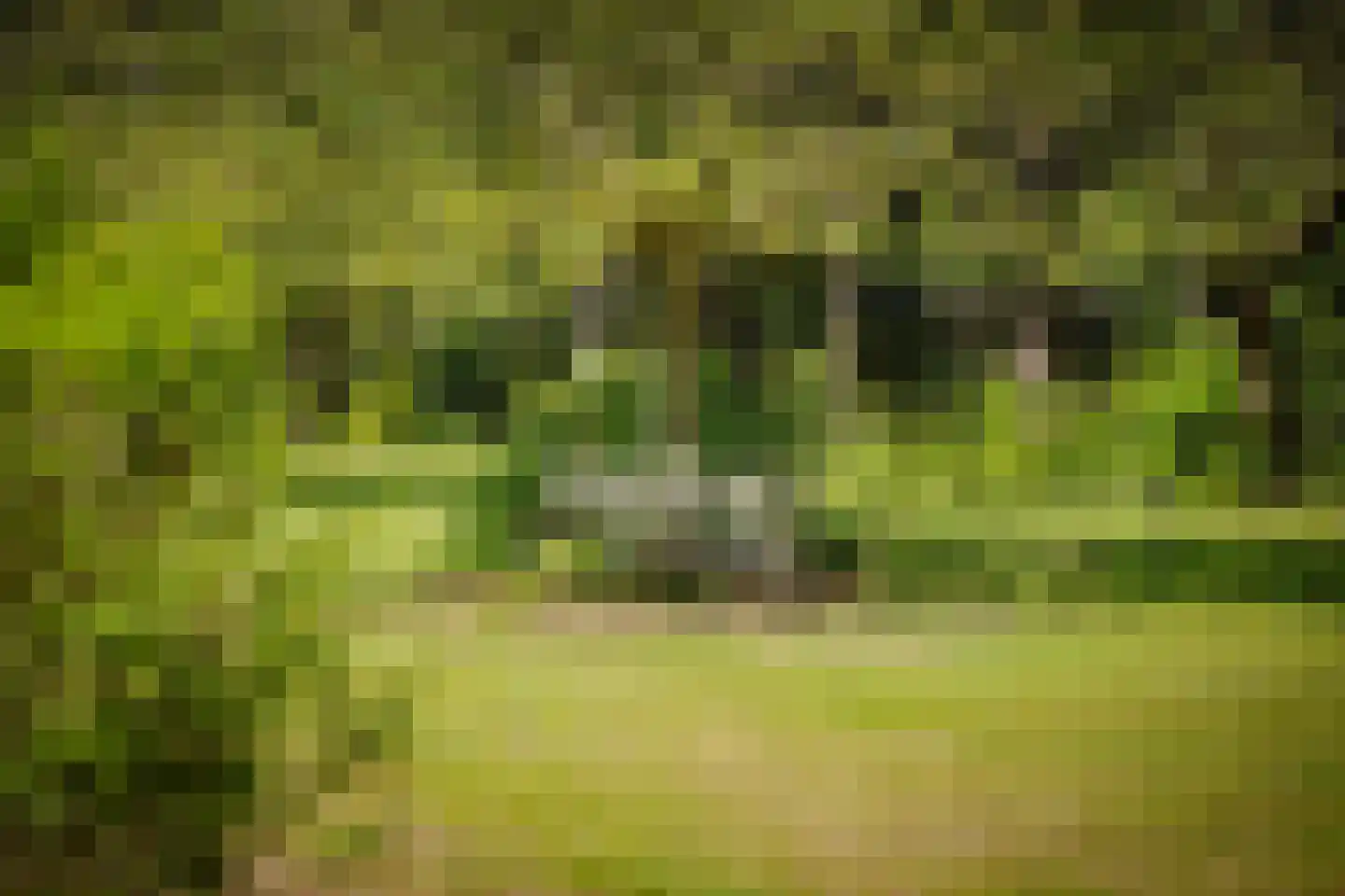 Damlaan 12 Eefde thumbnail 65