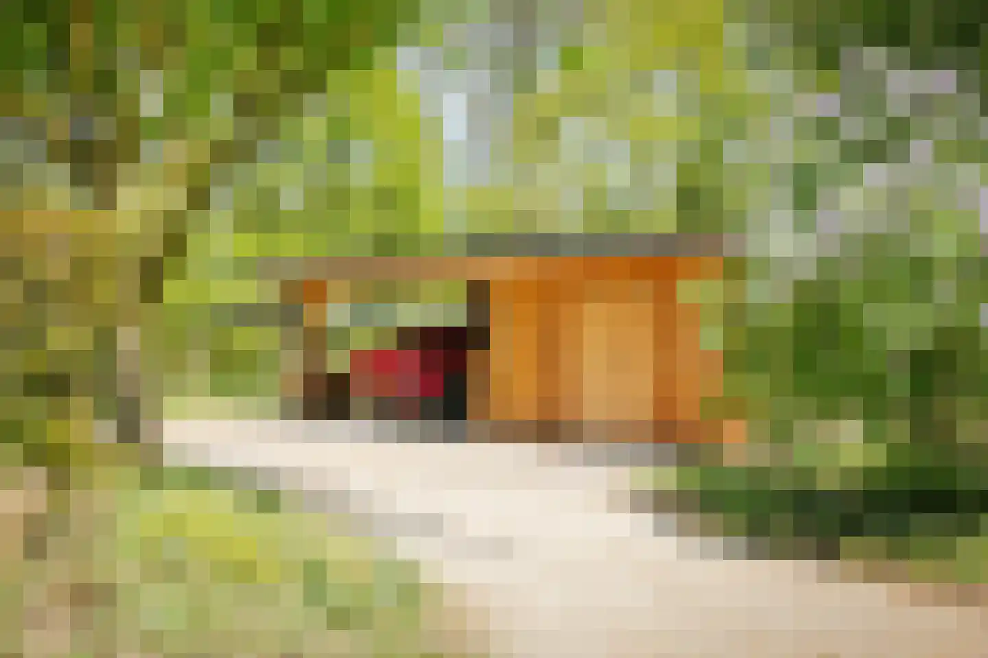 Damlaan 12 Eefde thumbnail 66